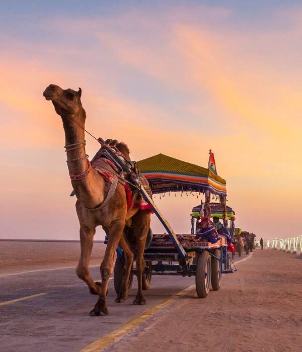Rajasthan Tours