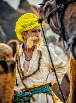 Private Car Driver India